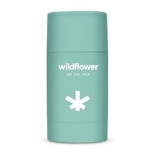 画像をギャラリービューアに読み込む, CBD STICK