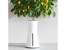 Load image into Gallery viewer, ボタニアム スマート水耕栽培キット