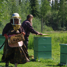 画像をギャラリービューアに読み込む, Dr.HONEY アラスカ ドクターハニーシリーズスティック