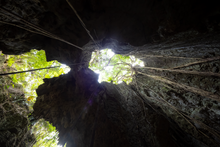 이미지를 갤러리 뷰어에 로드 , sold out | インナーサイレンス(宮古島リトリート 5月16日17日)