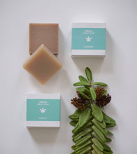 画像をギャラリービューアに読み込む, CBD SOAP