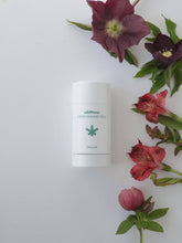 画像をギャラリービューアに読み込む, CBD STICK