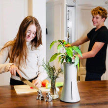 Load image into Gallery viewer, ボタニアム スマート水耕栽培キット