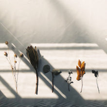 画像をギャラリービューアに読み込む, DRY FLOWER : f3 〜暮らしを彩るドライフラワー〜