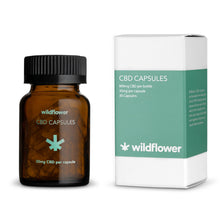 Load image into Gallery viewer, CBD CAPSULES
